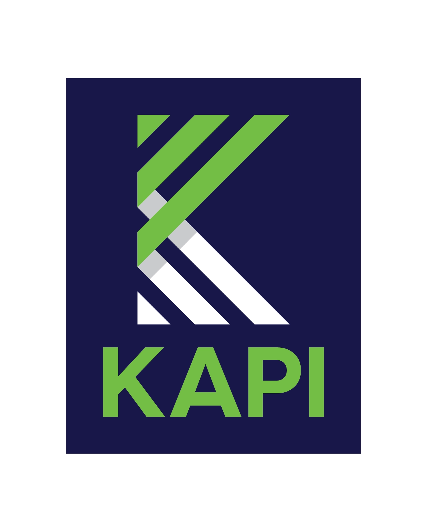 Home | KAPI Group
